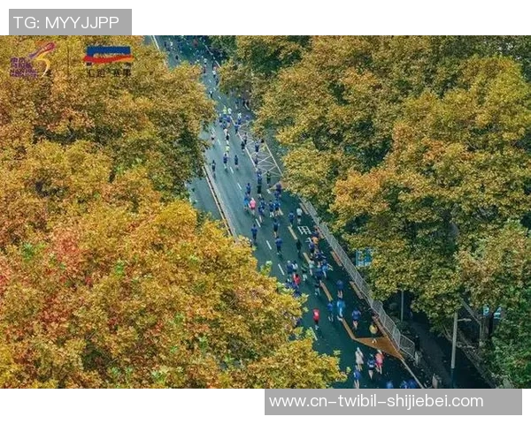 本周日在家门口看南马，气氛感拉满！